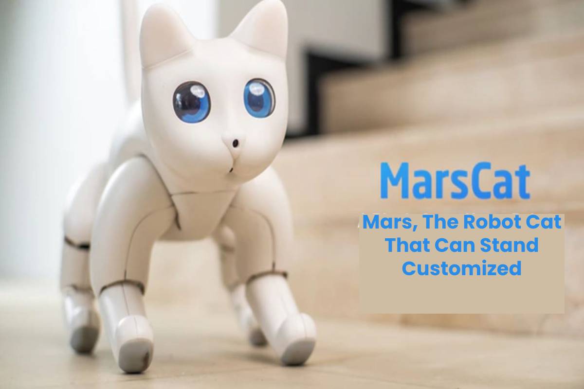 Mars, The Robot Cat That Can Stand Customized