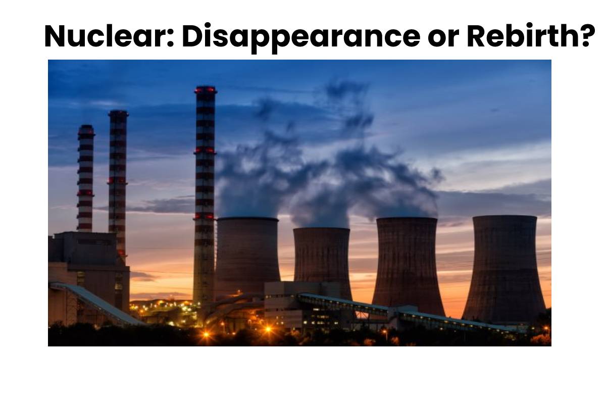 Nuclear: Disappearance or Rebirth?