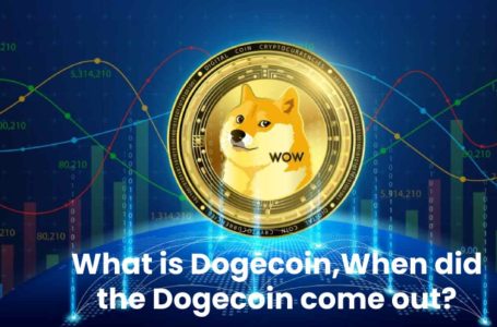 What is Dogecoin,When did the Dogecoin come out?
