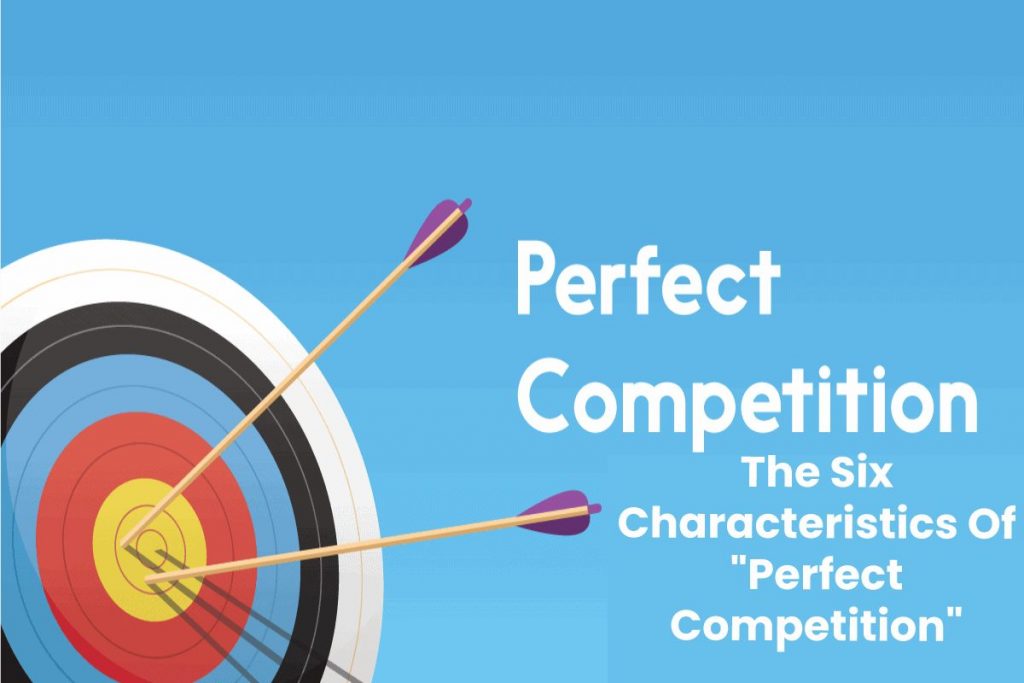 The Six Characteristics Of "Perfect Competition"