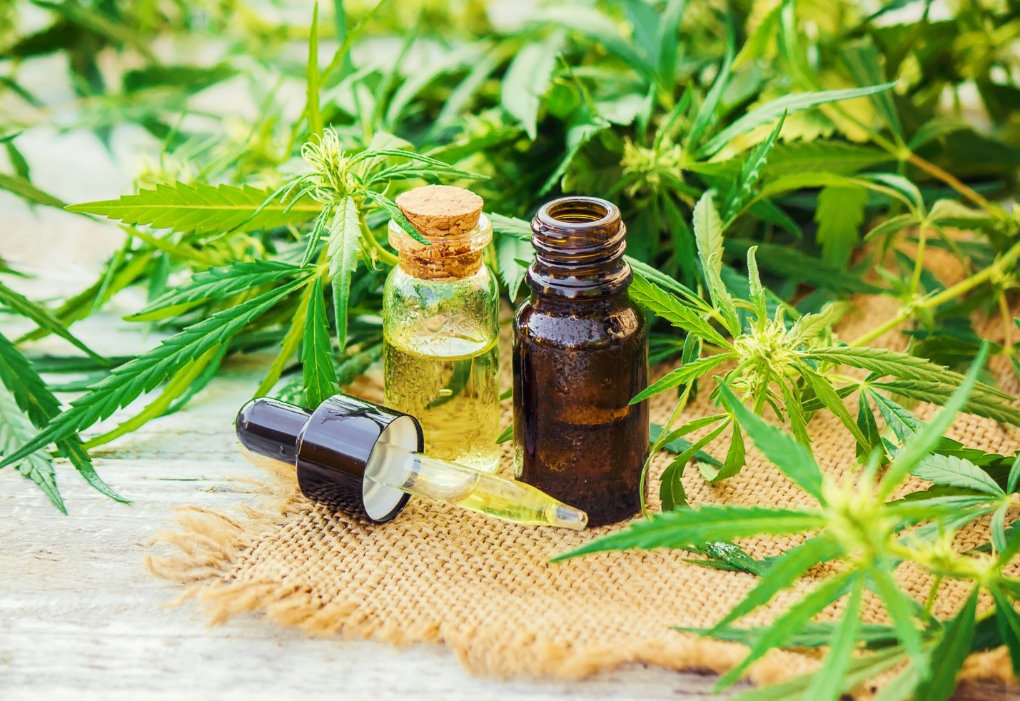 Why Choose Cheefbotanicals CBD?