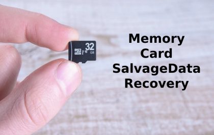 Memory Card SalvageData Recovery