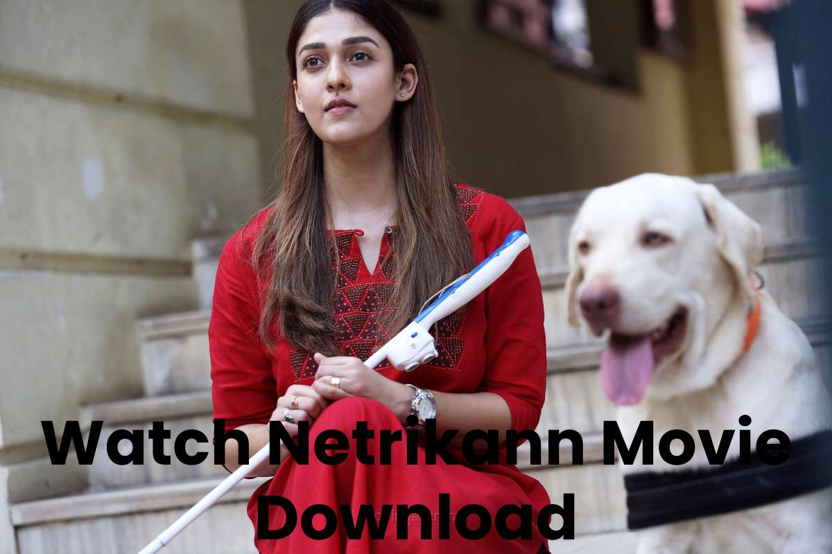 Watch Netrikann Movie Download