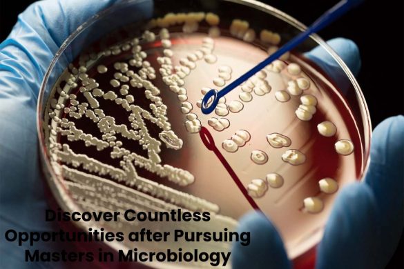 Discover Countless Opportunities after Pursuing Masters in Microbiology