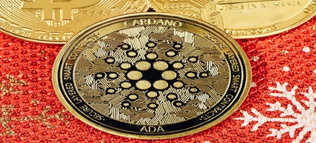 Best Cardano Casinos Should Offer What?