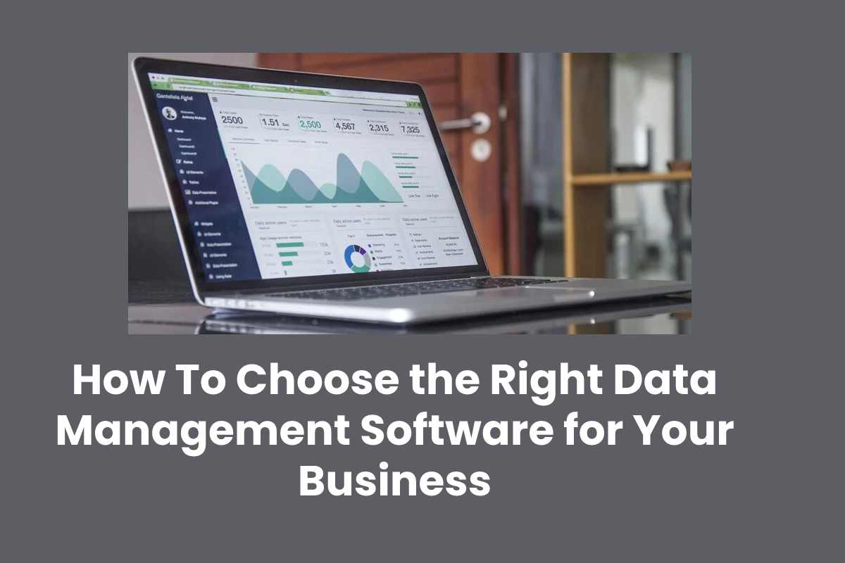 How To Choose the Right Data Management Software for Your Business