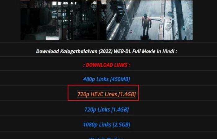 How to Download Movie From HDHub4U