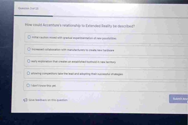 How could Accenture's relationship to extended reality be described_ (2)