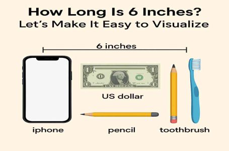 How Long Is 6 Inches